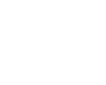 lucky lion weed store logo footer